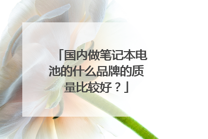 国内做笔记本电池的什么品牌的质量比较好?