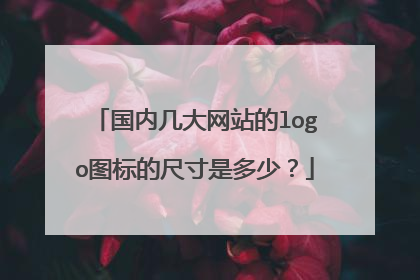 国内几大网站的logo图标的尺寸是多少?
