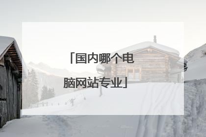 国内哪个电脑网站专业