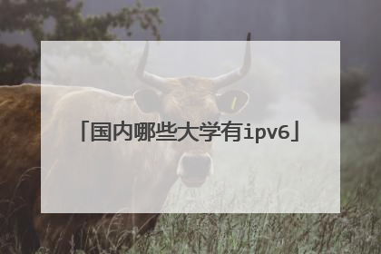 国内哪些大学有ipv6