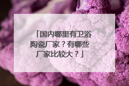 国内哪里有卫浴陶瓷厂家?有哪些厂家比较大?