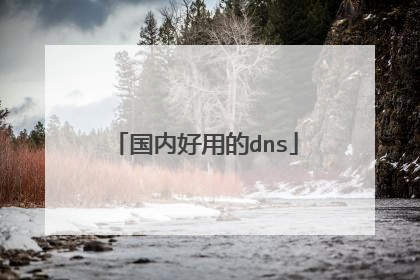 国内好用的dns