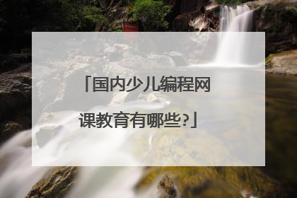 国内少儿编程网课教育有哪些?