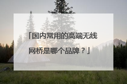 国内常用的高端无线网桥是哪个品牌?