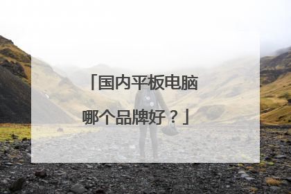 国内平板电脑哪个品牌好?