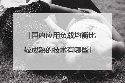 国内应用负载均衡比较成熟的技术有哪些