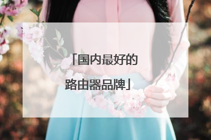 国内最好的路由器品牌