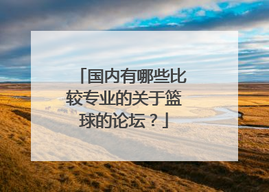 国内有哪些比较专业的关于篮球的论坛？