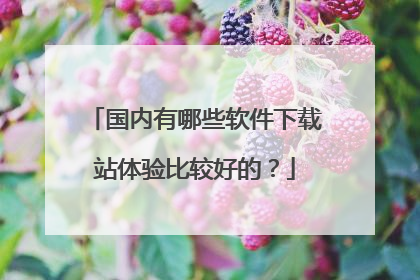 国内有哪些软件下载站体验比较好的?