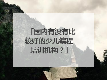 国内有没有比较好的少儿编程培训机构?