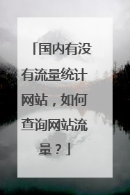 国内有没有流量统计网站，如何查询网站流量？