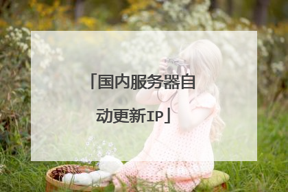 国内服务器自动更新IP