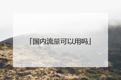 国内流量可以用吗