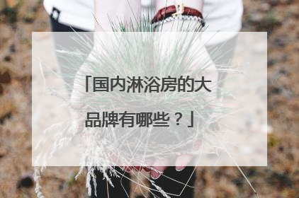 国内淋浴房的大品牌有哪些?