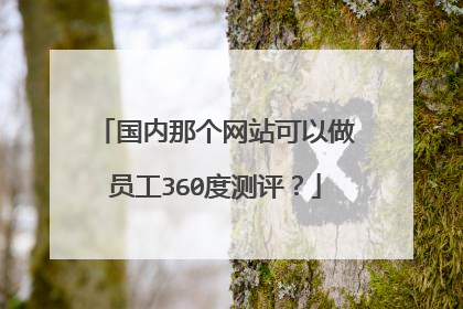 国内那个网站可以做员工360度测评？