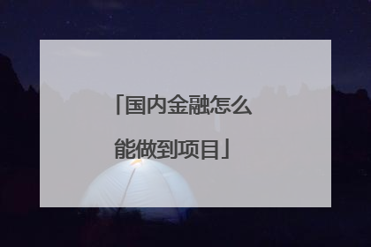 国内金融怎么能做到项目