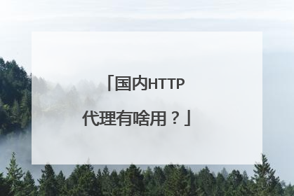 国内HTTP代理有啥用?