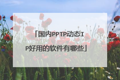 国内PPTP动态IP好用的软件有哪些