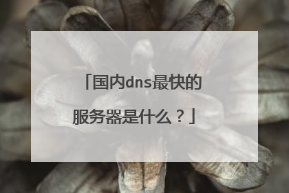 国内dns最快的服务器是什么?