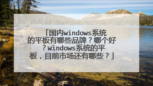 国内windows系统的平板有哪些品牌?哪个好?windows系统的平板,目前市场还有哪些?