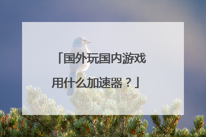 国外玩国内游戏用什么加速器？