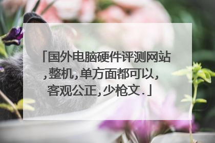 国外电脑硬件评测网站,整机,单方面都可以,客观公正,少枪文.