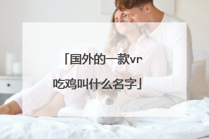 国外的一款vr吃鸡叫什么名字