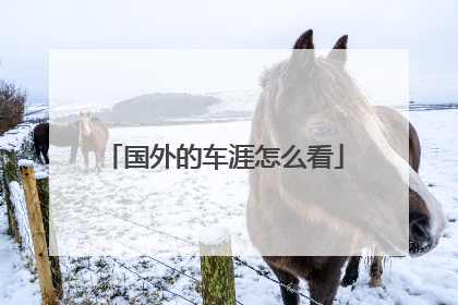 国外的车涯怎么看