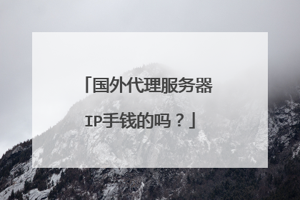 国外代理服务器IP手钱的吗？