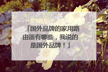 国外品牌的家用路由器有哪些，我说的是国外品牌！