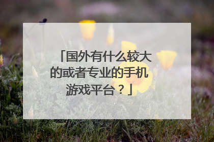 国外有什么较大的或者专业的手机游戏平台?