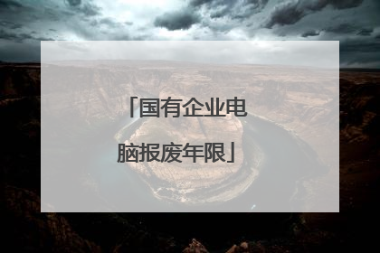 国有企业电脑报废年限