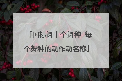 国标舞十个舞种 每个舞种的动作动名称