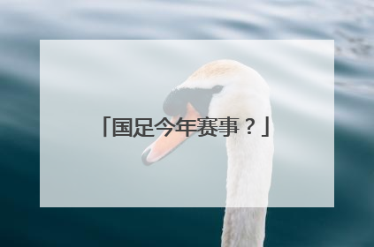 国足今年赛事？