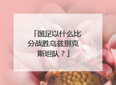 国足以什么比分战胜乌兹别克斯坦队？