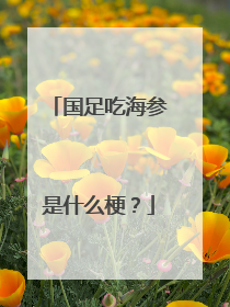 国足吃海参是什么梗?