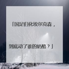 国足归化埃尔克森,到底动了谁的奶酪?