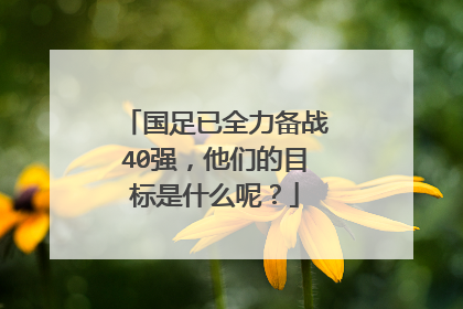 国足已全力备战40强，他们的目标是什么呢？