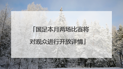 国足本月两场比赛将对观众进行开放详情