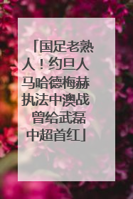 国足老熟人！约旦人马哈德梅赫执法中澳战 曾给武磊中超首红