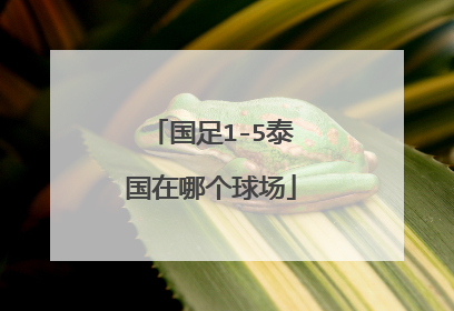 国足1-5泰国在哪个球场