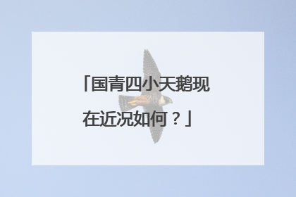 国青四小天鹅现在近况如何？
