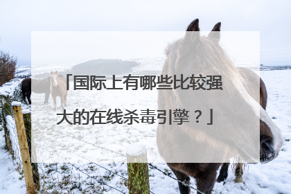 国际上有哪些比较强大的在线杀毒引擎？