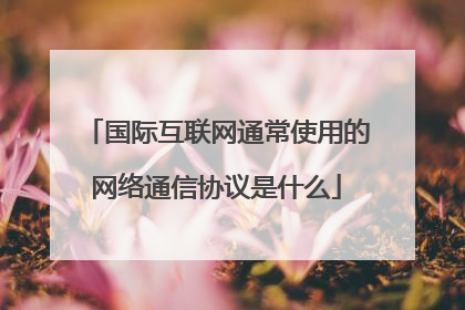 国际互联网通常使用的网络通信协议是什么