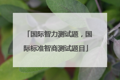 国际智力测试题，国际标准智商测试题目