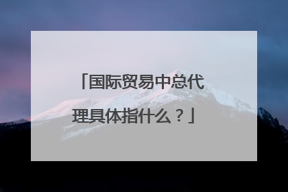 国际贸易中总代理具体指什么？
