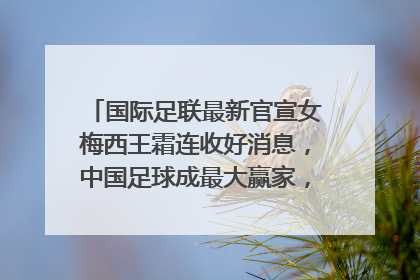 国际足联最新官宣女梅西王霜连收好消息,中国足球成最大赢家,你怎么认为?