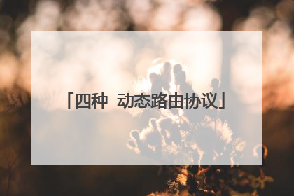 四种 动态路由协议