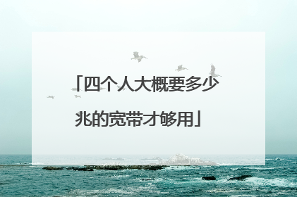四个人大概要多少兆的宽带才够用