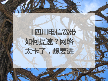 四川电信宽带如何提速?网络太卡了,想要进行网络提速一下,该咋个弄?